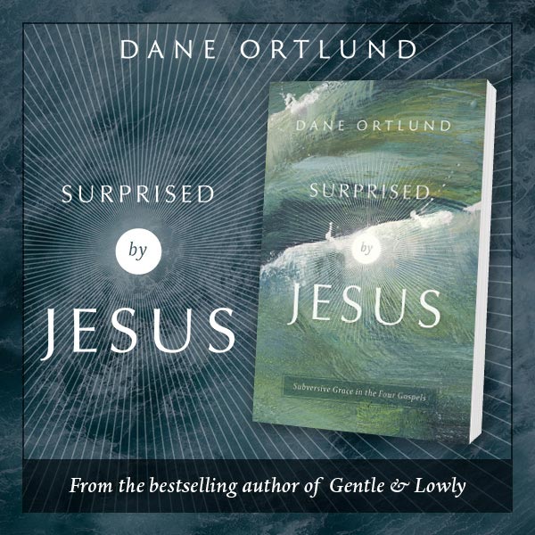 Surprised By Jesus by Dane Ortlund